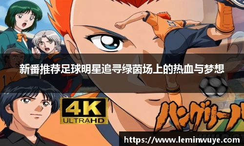 新番推荐足球明星追寻绿茵场上的热血与梦想